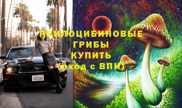 apvp Нефтекумск