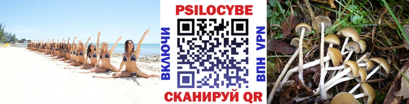 Галлюциногенные грибы Magic Shrooms  гидра рабочий сайт  Шумиха 